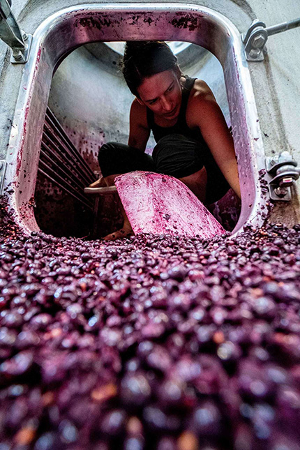 Looking into wine tank