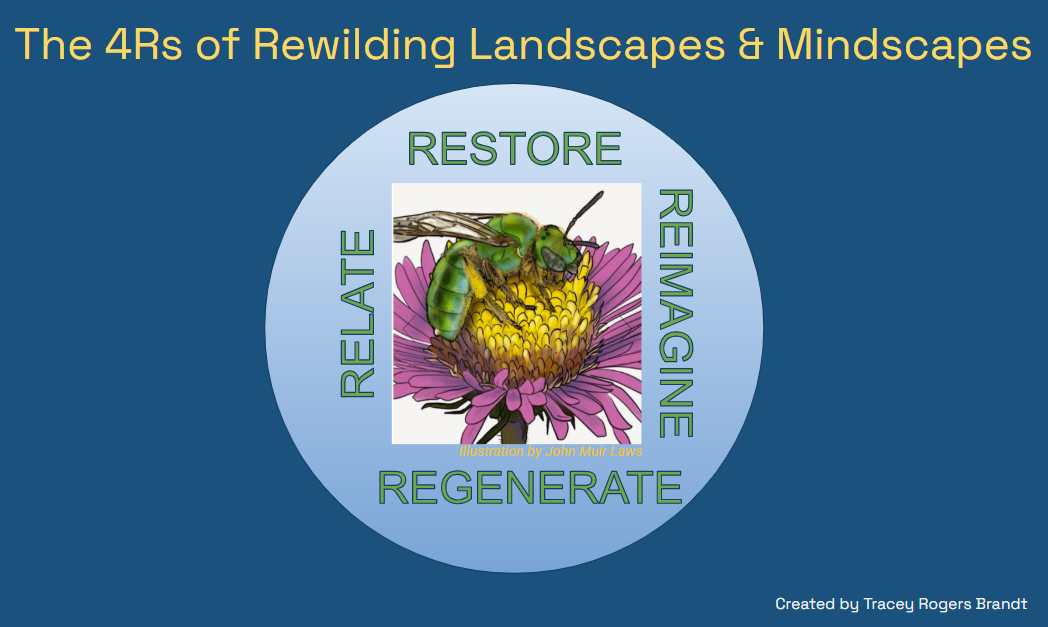 Rewilding Landscapes and Mindscapes