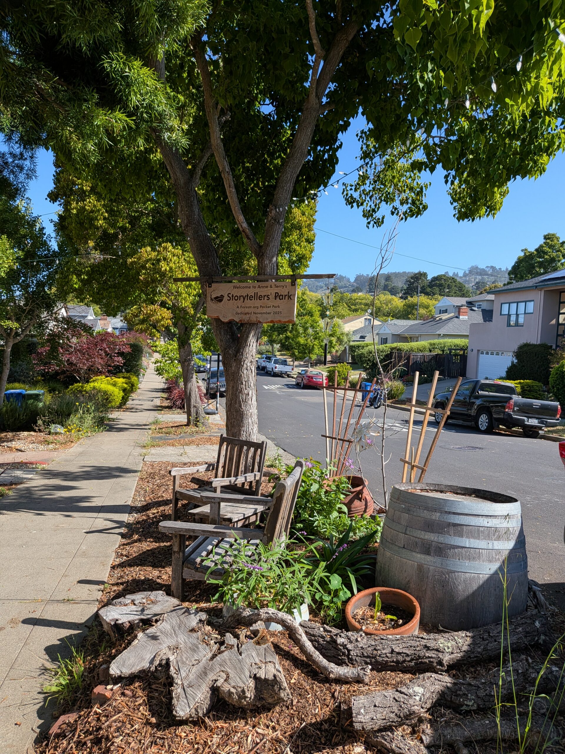 Storytellers' Park in daylight: benches and plantings in a mulched strip beside a sidewalk, a hand-carved wooden sign hanging from the tree above.